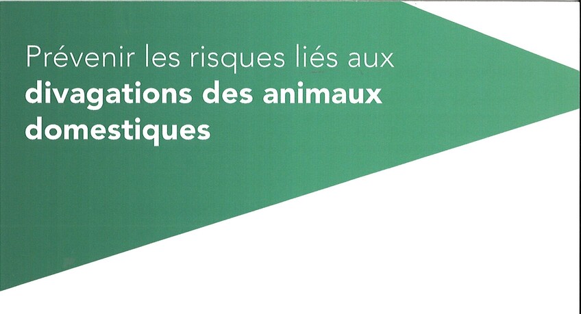 Campagne de sensibilisation sur la divagation d'animaux aux abords des voies ferrées